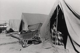 Young woman in her tent 'house' in Crossroads, a large squatter camp in Cape Town