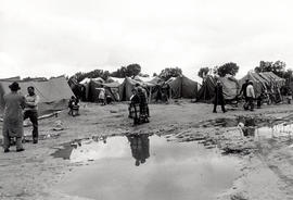 Tent shelters in Crossroads, one of Cape Town's squatter camps