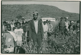 Farm labourers in KwaZulu Natal